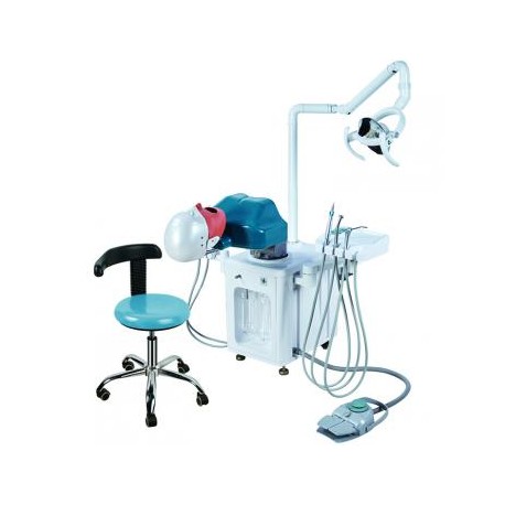 Jingle JG-A2 Maniquí de Prácticas para Cuidados Dentales Simulador Odontologico