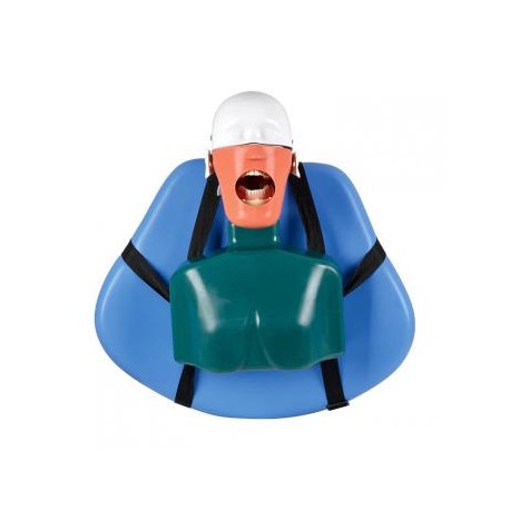 Jingle JG-C4 Fantoma Dental Maniquí Completo Compatible con Nissin Kilgore / Frasaco