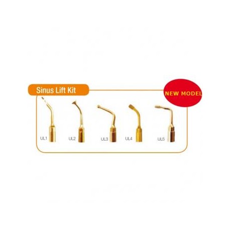 5Pcs Woodpecker® Puntas para Endodoncia Para Sinus Lifting EMS Compatible UL1 UL2 UL3 UL4 UL5
