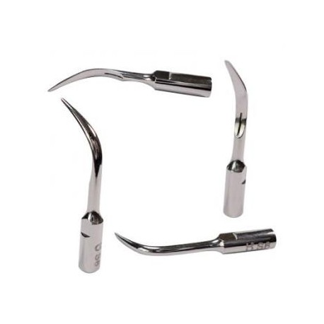 3Pcs Baola® Escalador Ultrasónico Puntas Dentales S6