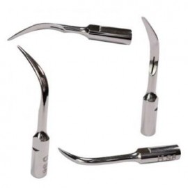 3Pcs Baola® Escalador Ultrasónico Puntas Dentales S6