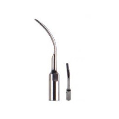 10Pcs SKL® 10Pcs Puntas Dentales Para Ultrasonido G6 EMS