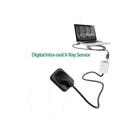 Sensor Digital de Rayos X Dental Sensor Radiográfico Intraoral Sensor RX Dental RVG