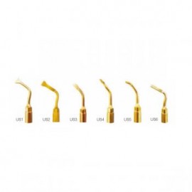 Woodpecker® Puntas de Ultrasonido para Cirugia Endodontica