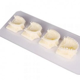Caliente Dental maxillary grupo pantalla enseñanza cavidad Modelo